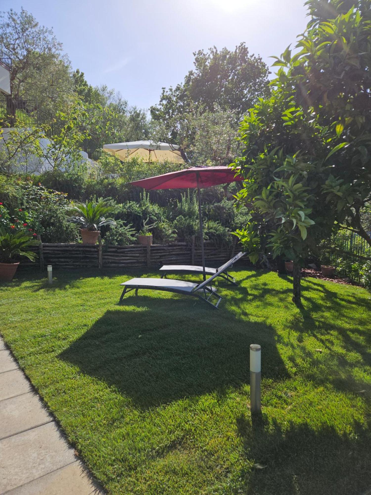 Bed and Breakfast Casa Cali Piano di Sorrento Zewnętrze zdjęcie